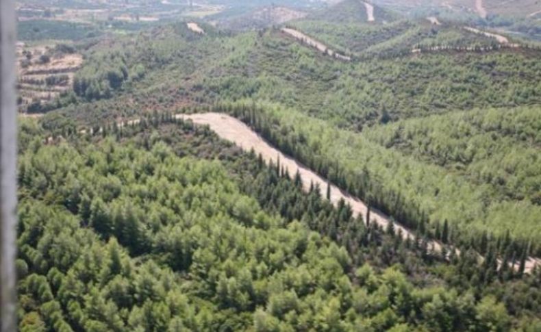 Ormanları kurtaracak proje
