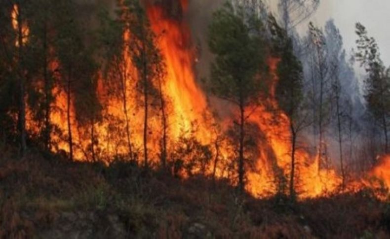 İzmir'de orman yangını zanlısı serbest kaldı