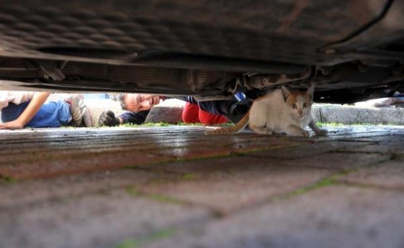 Otomobilin Motoruna Sikişan Kedi Için Kurtarma Operasyonu