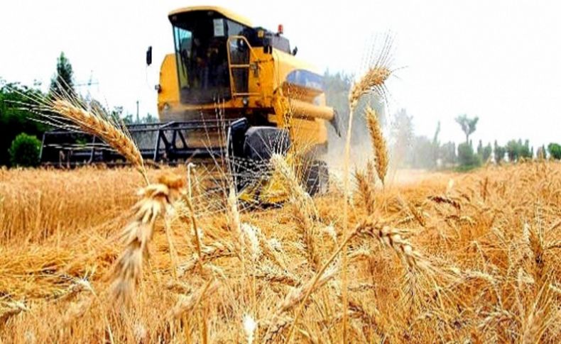 Özbekistan’ın tahıl rekoltesi 8 milyona dayandı