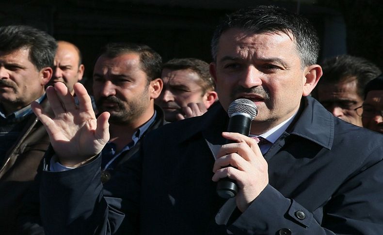 Pakdemirli Kozak'ta konuştu: Çam fıstığındaki problemi çözeceğiz