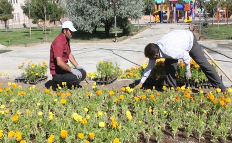 Palandöken, 60 bin çiçekle renklendi