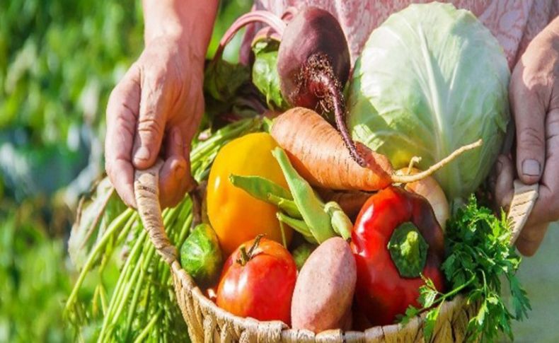 Pandemi, yaş meyve sebze ve mamulleri ihracatına fren yaptıramadı