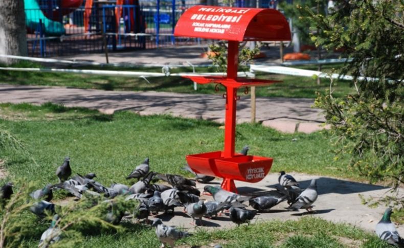 Parklara kuşlar için özel yemlik ve su kapları konuldu