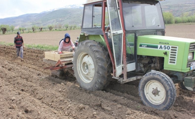 Patates üretiminin yaygınlaşması için çalışma başlatıldı