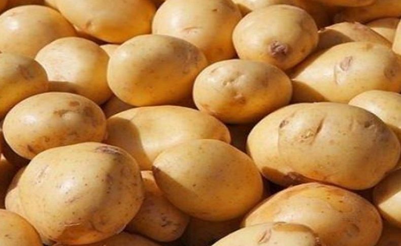 Patateste üretici fiyatı düşüşe geçti