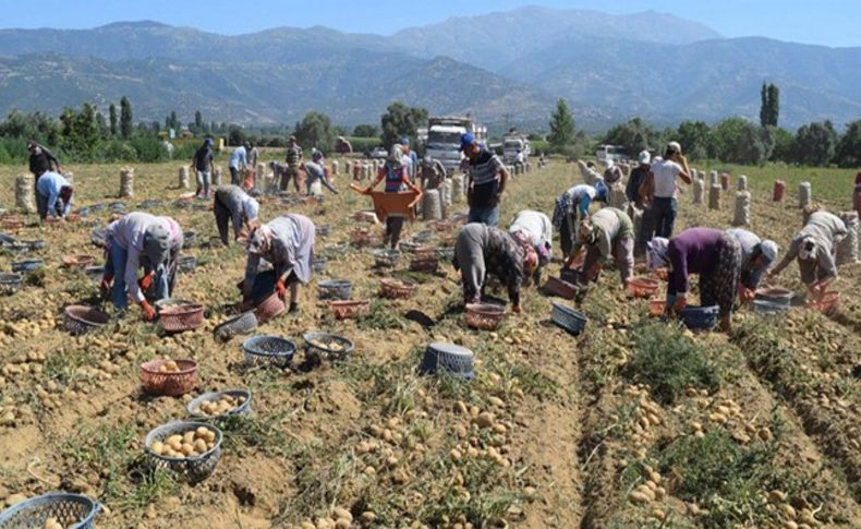 Kamuda patates yemeklerine ağırlık verilmesi çağrısı