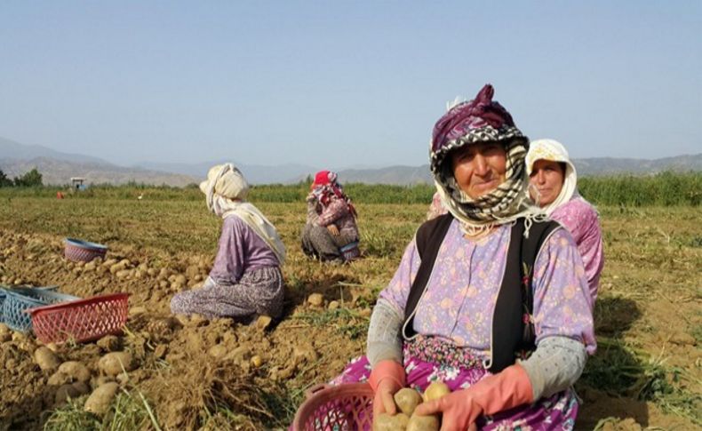 Herkes tatile gitti onlar kavurucu sıcağın altında çalıştı