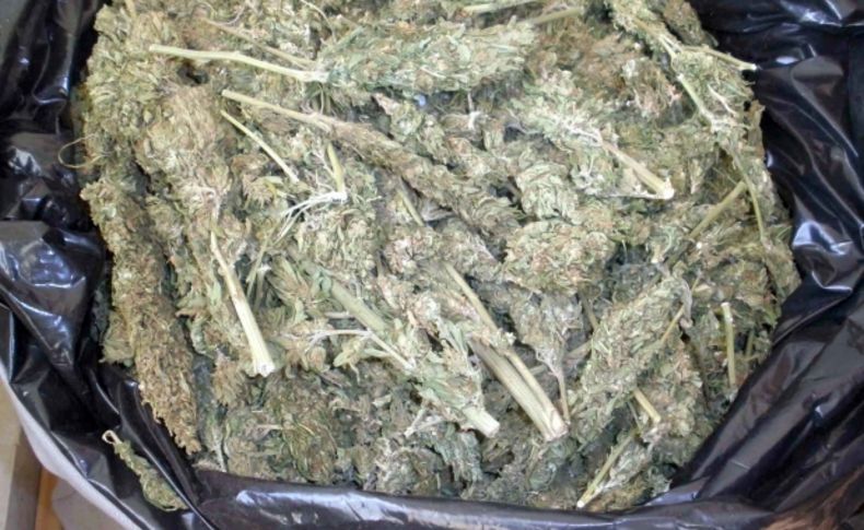 Polis köpeği Sedef 10 kilo esrarın yerini tespit etti