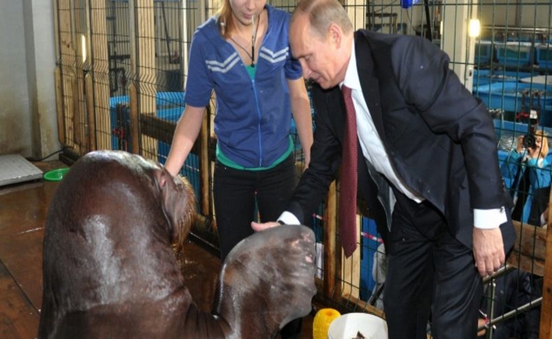 Putin G20 öncesi kaplan ve yunuslarla stres attı