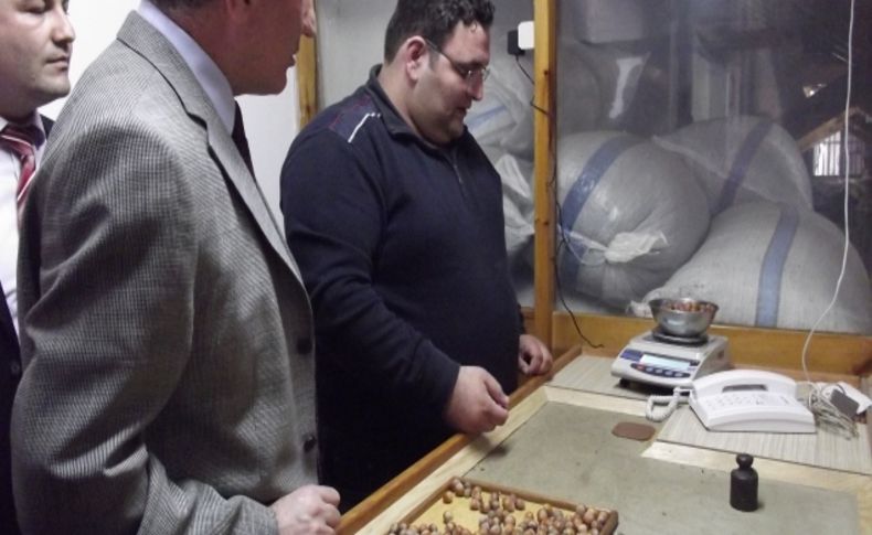 Randıman tesbiti yapılmadan satılan fındık üreticiyi zarara sokuyor
