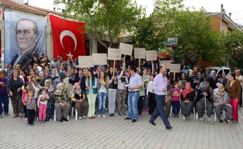 Çam balı ile ünlü Dereköy'de, RES için ağaç katliamı tepkisi