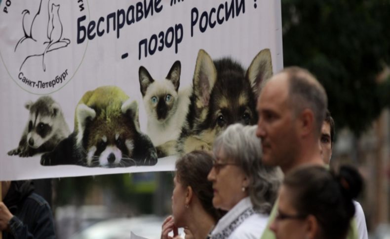 Rusya’da hayvan severlerden “kontrol” protestosu