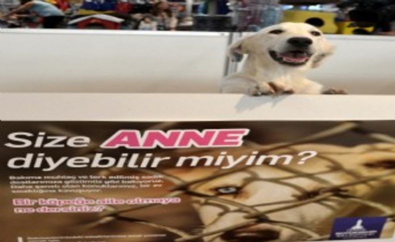 Size ‘Anne’ diyebilir miyim'