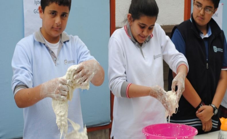 Sakarya İlköğretim 'Akıl ve Çocuk Oyunları Şöleni' düzenledi