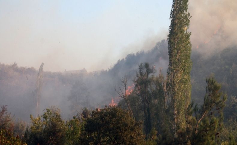 Sakarya’daki orman yangını kontrol altına alındı