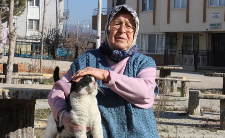 Saldırıya uğrayan hayvansever Fatma Nine konuştu