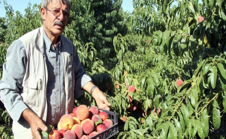 Sanayi şehri Kayseri'de Develi tarımsal yatırımlarla dikkati çekiyor