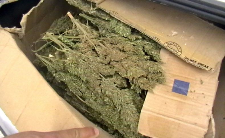 Şanlıurfa'da 22 kilogram esrar ele geçirildi, 1 kişi tutuklandı