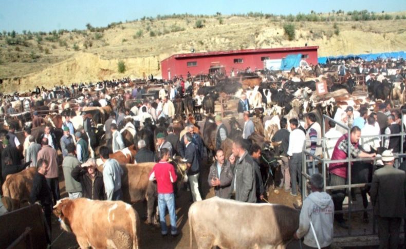 Şap hastalığı tehlikesi geçti, Nevşehir Hayvan Pazarı yeniden açıldı