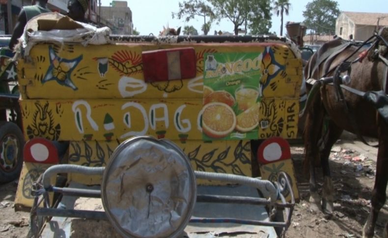 Senegal’in benzinsiz araçları 'Clashlar'