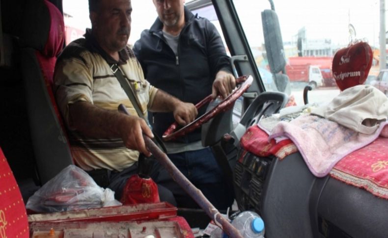 Seyir halindeki kamyonda ortaya çıkan yılan şoförü sabahlattı