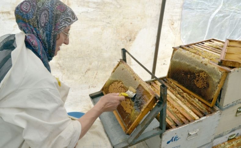 Sezonun ilk bal hasadı yapıldı, bu yıl rekoltenin düşük olması bekleniyor