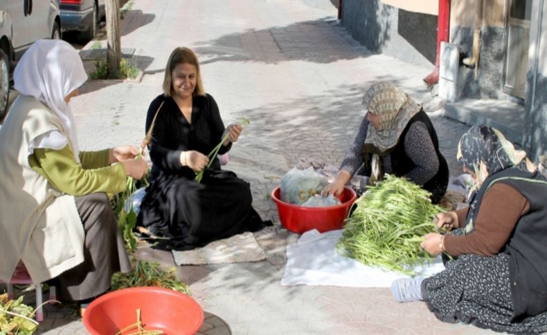 Sivas’ın yöresel lezzeti dal turşusu için kadınlar kolları sıvadı