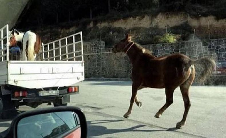 Skandal olay! Sosyal medyada tepki yağdı