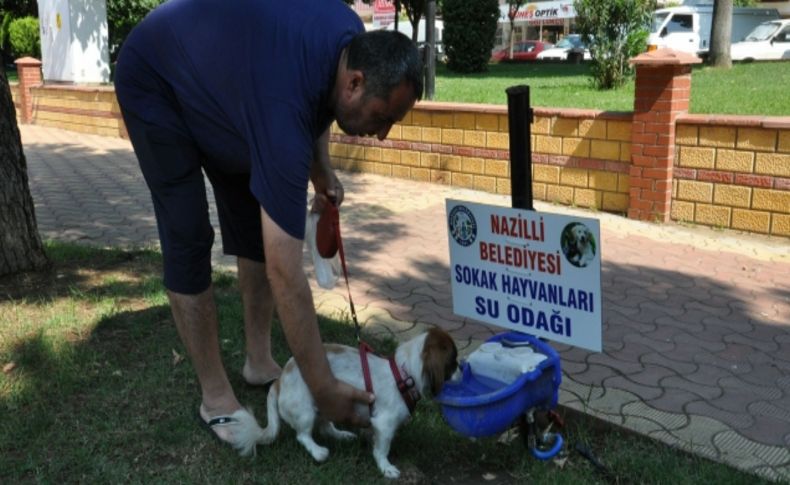 Sokak hayvanları için suluk