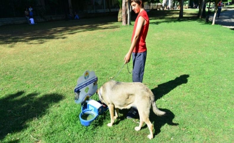 Sokak hayvanları susuz kalmıyor