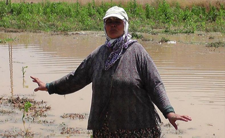 Sulama borusu patladı, her yeri su bastı