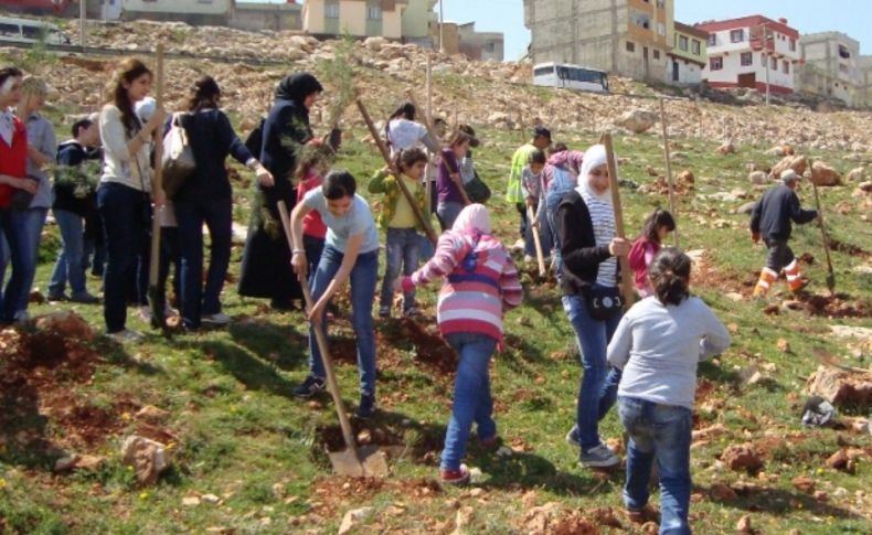 Suriyeliler ilgiye karşılıksız kalmadı, ‘Memnuniyet Ormanı’ oluşturdu