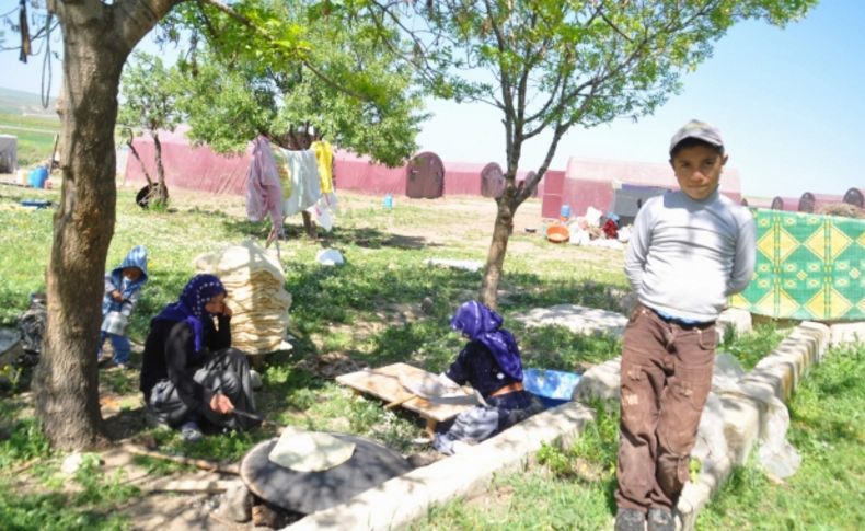 Tarım alanlarında çalışmak üzere Yozgat'a gelen işçiler çadırlarına yerleşti