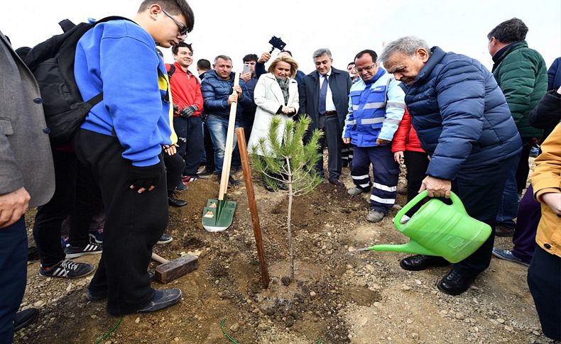 Taş ocağıydı, orman olacak