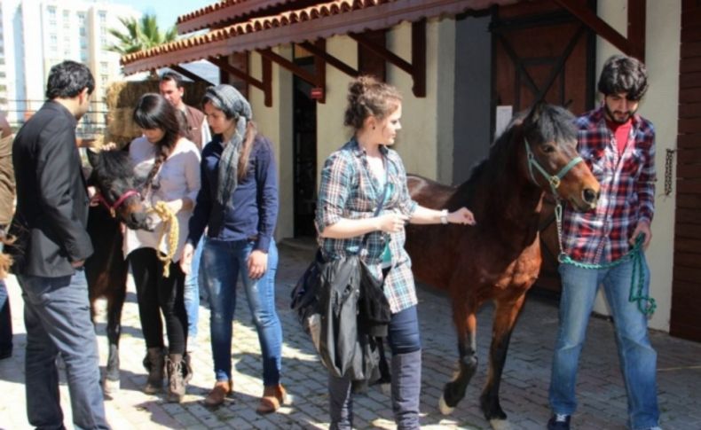 Tay Park’ın üniversiteli gönüllüleri