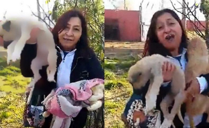 Tire'deki hayvan barınağında köpeklerin açlıktan öldüğü iddiası