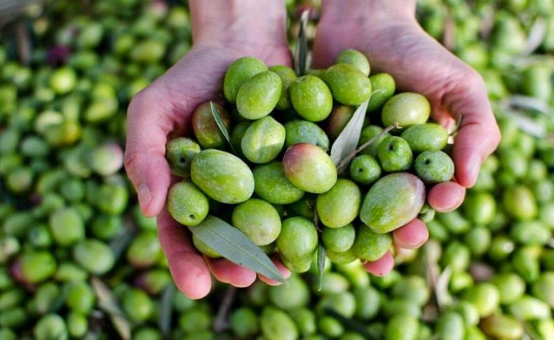 Torbalı festivale çağırıyor