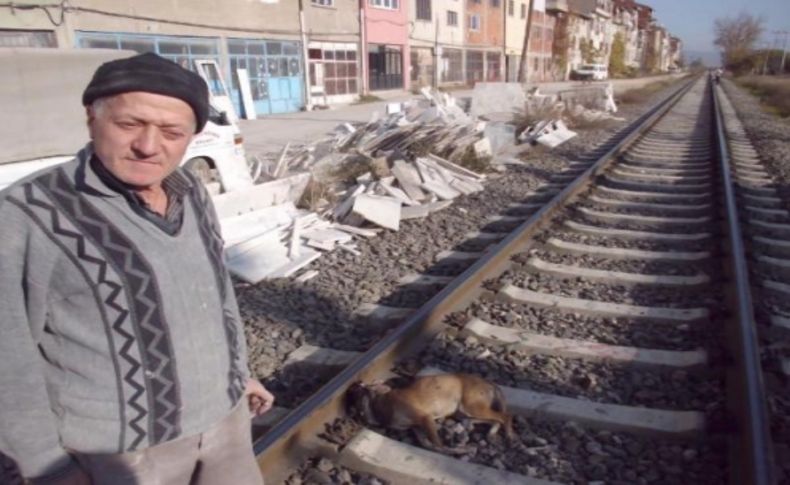 Trenin ezdiği köpeğin kafası koptu