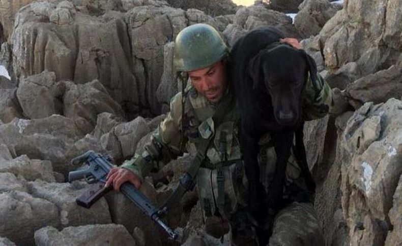 TSK paylaştı, büyük ilgi gördü! Mehmetçik sırtında taşıdı