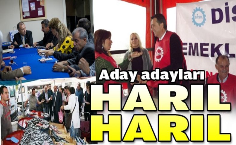 Tüm ilçelerde aday adayları harıl harıl