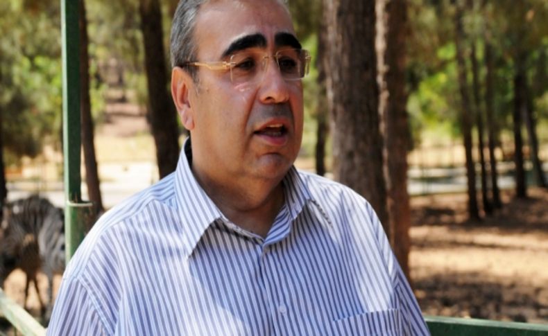 Türkiye’deki hayvanat bahçeleri içerisinde ilk kez bir zebra doğum yaptı