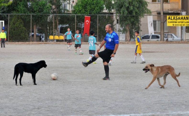 Kartla değil taşıyarak çıkardı