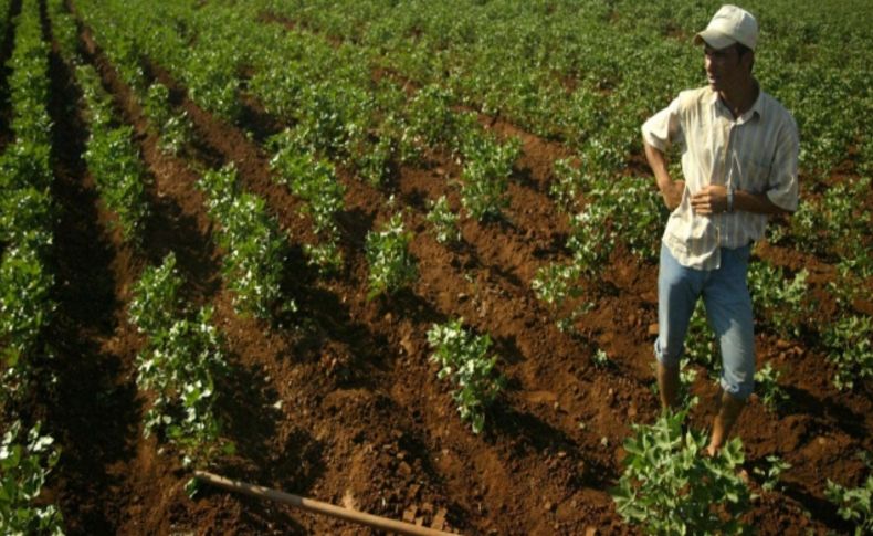 TZOB: Kırsalda genç nüfus azlığı tarımı olumsuz etkiliyor