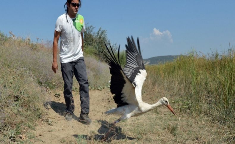 Uçun kuşlar uçun!