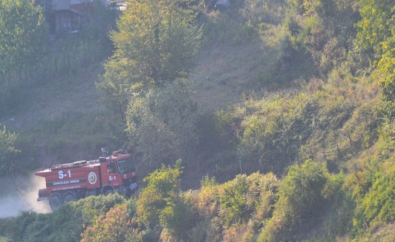 Uludağ Köyü'nde orman ikinci kez alevlere teslim oldu