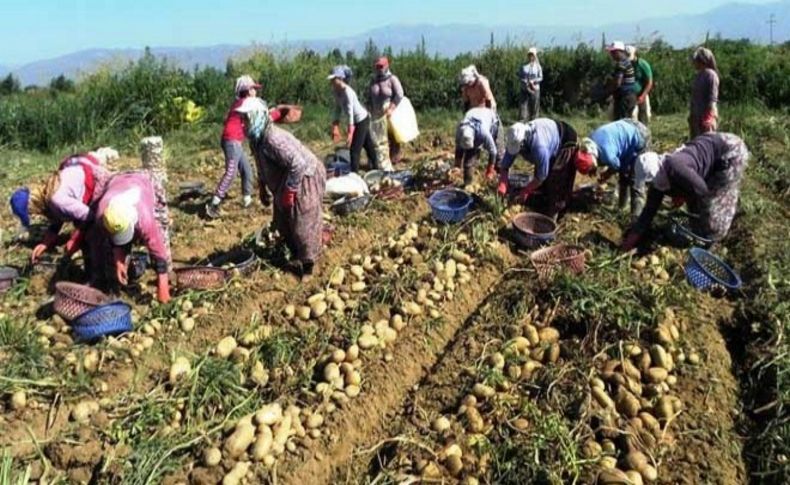 Üreticiden fiyat isyanı!