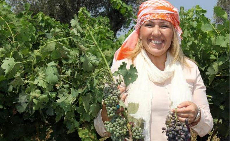 Bağbozumu Şenlikleri için geri sayım başladı