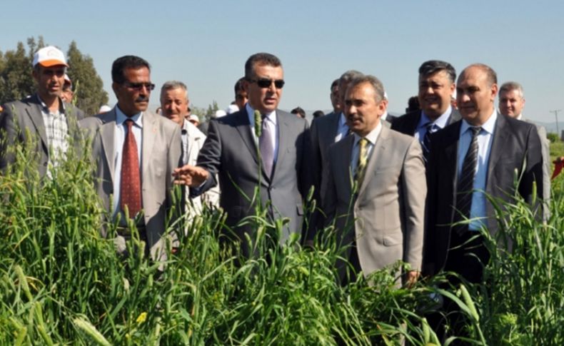 Vali Lekesiz: Hatay, tarım ve hayvancılık için bereket coğrafyasıdır