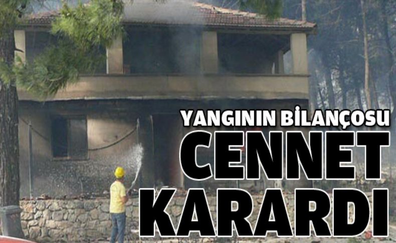 Yangının bilançosu: cennet karardı